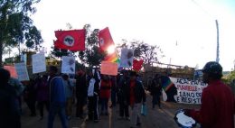 motorista atropela valinhos mst