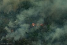 amazonia sob forte ataque