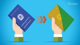 carteira verde amarela